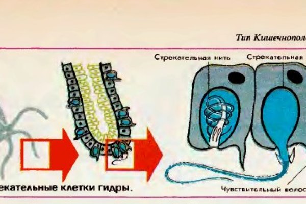 Ссылка на магазин кракен